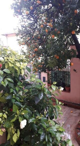 Ferienwohnung Les Violettes Menton Exterior foto